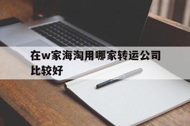 在w家海淘用哪家转运公司比较好